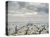 Paris skyline with the Eiffel Tower-Raimund Koch-Stretched Canvas