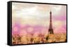 Paris Sparkles-Emily Navas-Framed Stretched Canvas