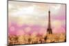 Paris Sparkles-Emily Navas-Mounted Photographic Print