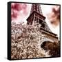 Paris Spring-Philippe Hugonnard-Framed Stretched Canvas