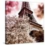 Paris Spring-Philippe Hugonnard-Stretched Canvas