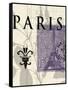 Paris Stamp-Z Studio-Framed Stretched Canvas