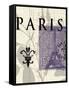 Paris Stamp-Z Studio-Framed Stretched Canvas