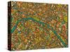 Paris Street Map-Jazzberry Blue-Stretched Canvas