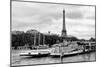 Paris sur Seine Collection - Bateaux Mouches III-Philippe Hugonnard-Mounted Photographic Print