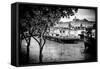 Paris sur Seine Collection - Boats before the Musee d'Orsay-Philippe Hugonnard-Framed Stretched Canvas