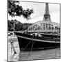 Paris sur Seine Collection - Paris Bridge II-Philippe Hugonnard-Mounted Photographic Print