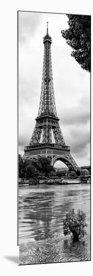 Paris sur Seine Collection - Solitary Tree II-Philippe Hugonnard-Mounted Photographic Print