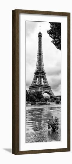 Paris sur Seine Collection - Solitary Tree II-Philippe Hugonnard-Framed Photographic Print