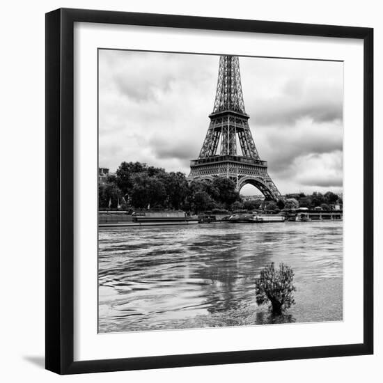 Paris sur Seine Collection - Solitary Tree III-Philippe Hugonnard-Framed Photographic Print