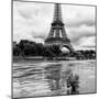 Paris sur Seine Collection - Solitary Tree III-Philippe Hugonnard-Mounted Photographic Print