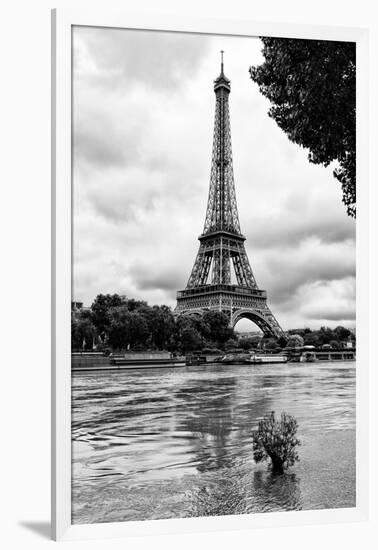 Paris sur Seine Collection - Solitary Tree-Philippe Hugonnard-Framed Photographic Print