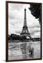 Paris sur Seine Collection - Solitary Tree-Philippe Hugonnard-Framed Photographic Print