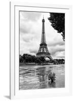 Paris sur Seine Collection - Solitary Tree-Philippe Hugonnard-Framed Photographic Print