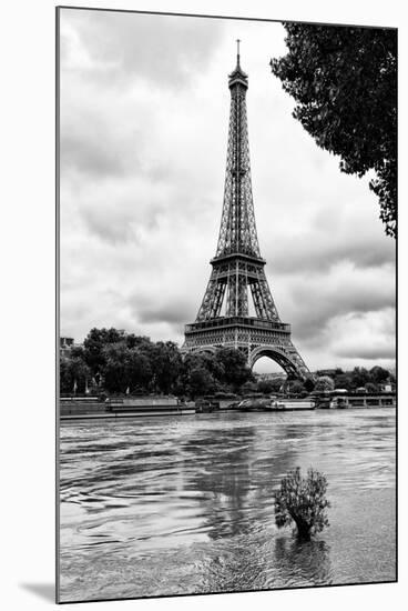 Paris sur Seine Collection - Solitary Tree-Philippe Hugonnard-Mounted Photographic Print