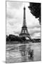 Paris sur Seine Collection - Solitary Tree-Philippe Hugonnard-Mounted Photographic Print