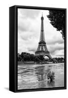 Paris sur Seine Collection - Solitary Tree-Philippe Hugonnard-Framed Stretched Canvas