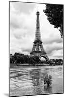 Paris sur Seine Collection - Solitary Tree-Philippe Hugonnard-Mounted Photographic Print