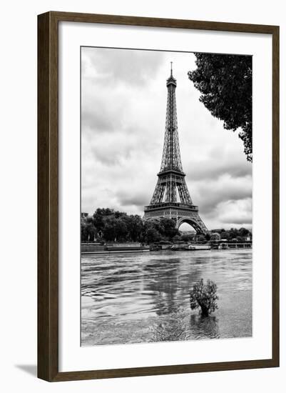 Paris sur Seine Collection - Solitary Tree-Philippe Hugonnard-Framed Photographic Print