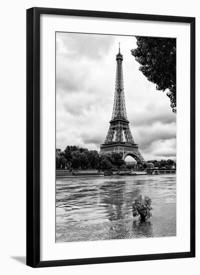 Paris sur Seine Collection - Solitary Tree-Philippe Hugonnard-Framed Photographic Print