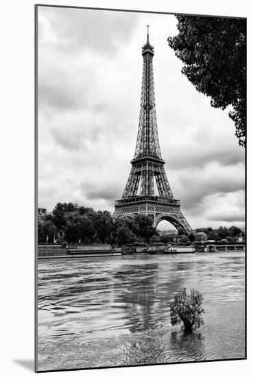 Paris sur Seine Collection - Solitary Tree-Philippe Hugonnard-Mounted Photographic Print