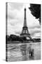 Paris sur Seine Collection - Solitary Tree-Philippe Hugonnard-Stretched Canvas