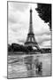 Paris sur Seine Collection - Solitary Tree-Philippe Hugonnard-Mounted Premium Photographic Print