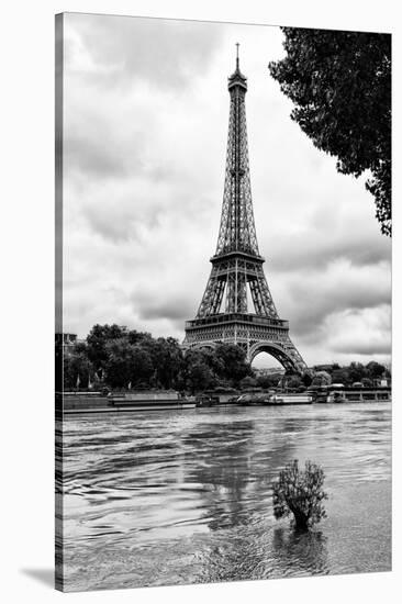 Paris sur Seine Collection - Solitary Tree-Philippe Hugonnard-Stretched Canvas