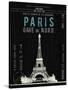 Paris Travel-The Vintage Collection-Stretched Canvas