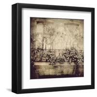 Paris Window Garden-Dawne Polis-Framed Art Print