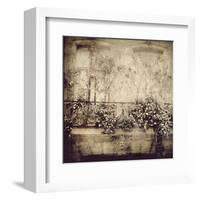 Paris Window Garden-Dawne Polis-Framed Art Print