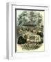 Paris Yaks 1854-null-Framed Giclee Print