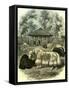 Paris Yaks 1854-null-Framed Stretched Canvas