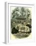 Paris Yaks 1854-null-Framed Giclee Print