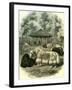 Paris Yaks 1854-null-Framed Giclee Print