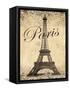 Paris-Todd Williams-Framed Stretched Canvas