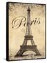 Paris-Todd Williams-Framed Stretched Canvas