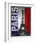 Paris-Todd Williams-Framed Art Print