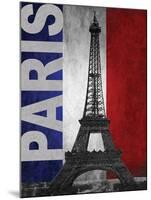 Paris-Todd Williams-Mounted Art Print