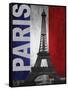 Paris-Todd Williams-Framed Stretched Canvas