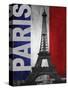 Paris-Todd Williams-Stretched Canvas