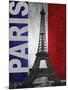 Paris-Todd Williams-Mounted Art Print