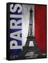 Paris-Todd Williams-Framed Stretched Canvas