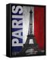 Paris-Todd Williams-Framed Stretched Canvas