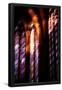 Essential Black