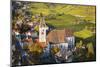 Parish Church Holy Mauritius in Spitz on the Danube, Wachau, Lower Austria, Austria, Europe-Gerhard Wild-Mounted Photographic Print