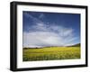 Parish Church in Field of Rape, Idsworth, Near Petersfield, Hampshire, England, UK, Europe-Jean Brooks-Framed Photographic Print