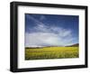 Parish Church in Field of Rape, Idsworth, Near Petersfield, Hampshire, England, UK, Europe-Jean Brooks-Framed Photographic Print