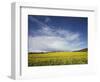 Parish Church in Field of Rape, Idsworth, Near Petersfield, Hampshire, England, UK, Europe-Jean Brooks-Framed Photographic Print