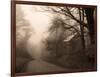 Parish Hill Road-Christine Triebert-Framed Photographic Print